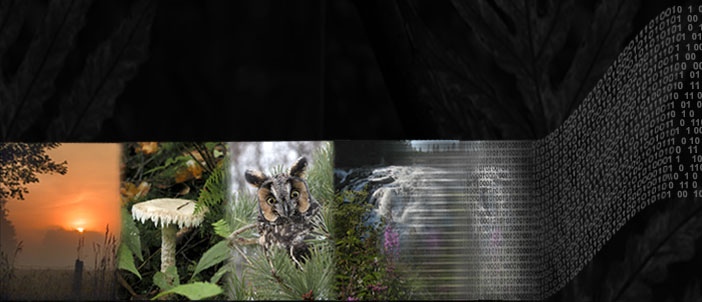 series of pictures blurring off into digital code